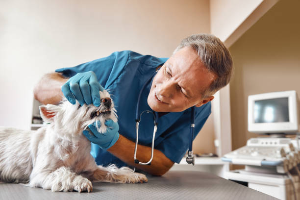 Best Emergency Root Canal Treatment in Hazlehurst, GA